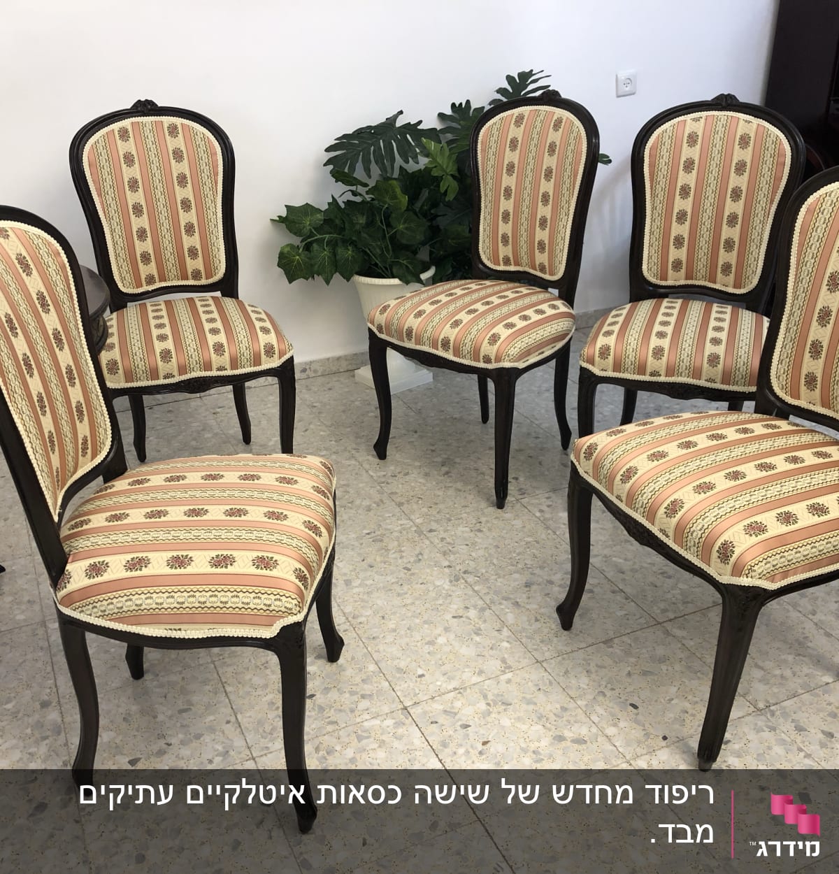 כיסאות מרופדים בבד פסים עם דוגמאות פרחים